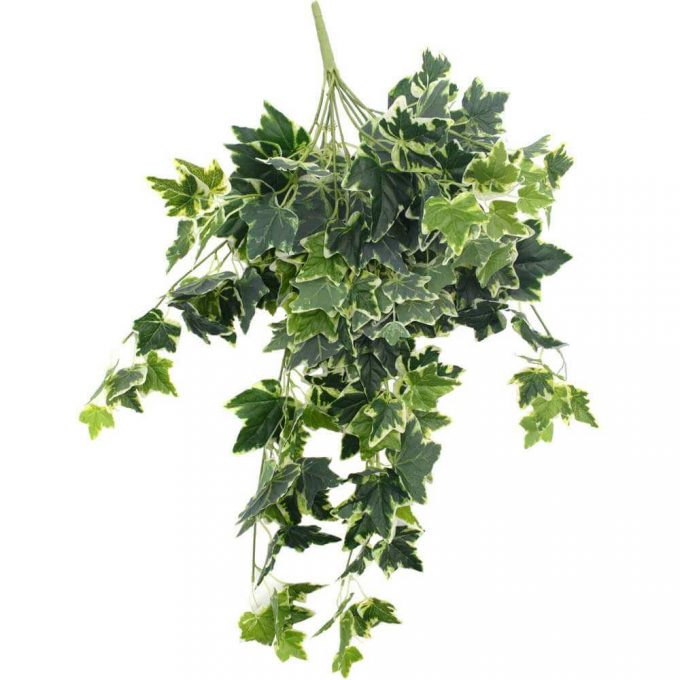 artificial ivy bush