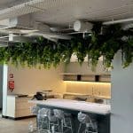 Hanging Artificial Ivy Bushes and Potted Fake Plants in an Office Fitout