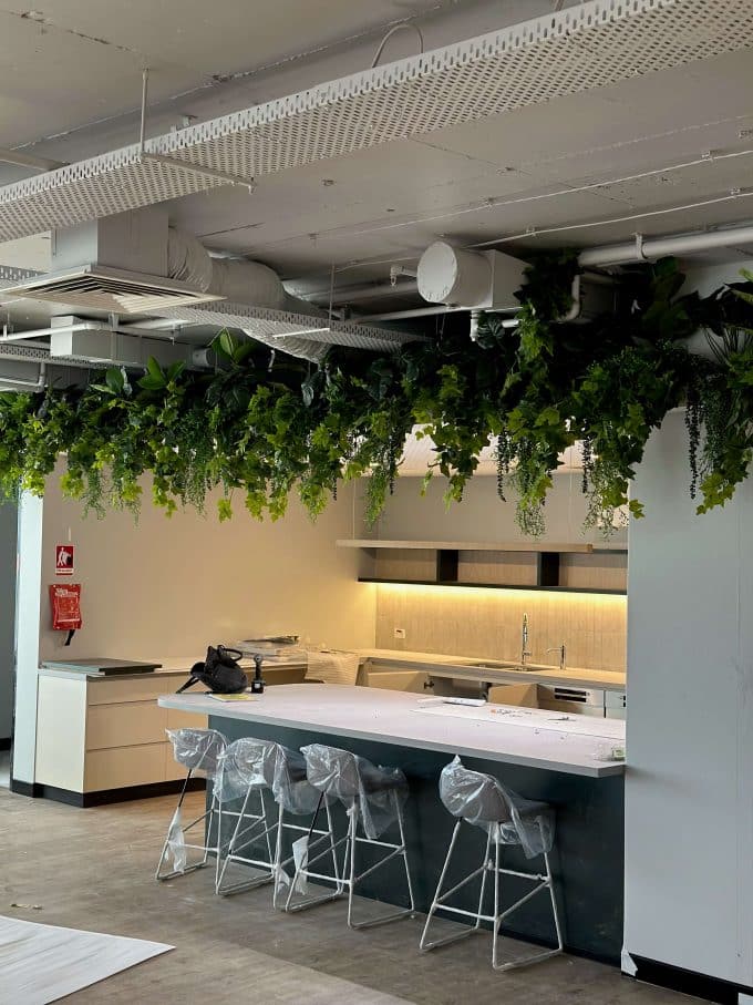 Hanging Artificial Ivy Bushes and Potted Fake Plants in an Office Fitout