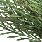 Native tea tree artificial UV resistant stem