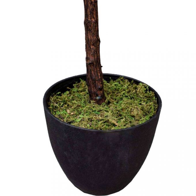 Artificial 170cm Fiddle Fig Trunk and Pot