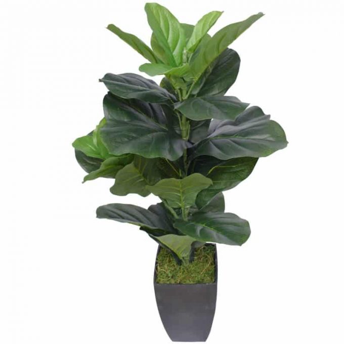 High quality potted artificial fiddle fig plant (1)