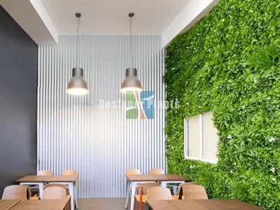 steps to clean a green wall