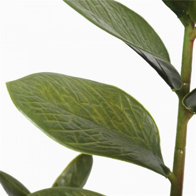 leaves - artificial potted zanzibar plant