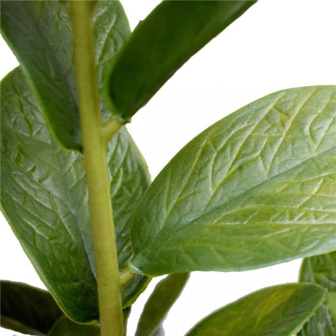 Artificial Zanzibar leaf close up
