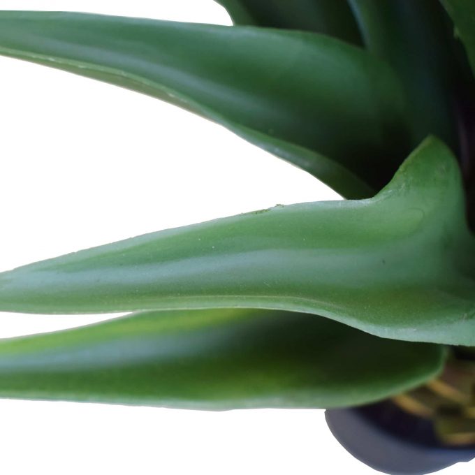 Artificial potted agave (faux plant)