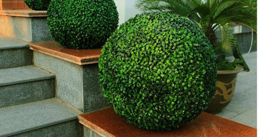 Artificial topiary garden balls and shrub plants - on a home balcony entrance