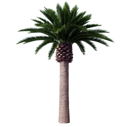 Artificial Canary Palm Tree