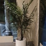 Artificial Potted Areca Palm Tree Plant