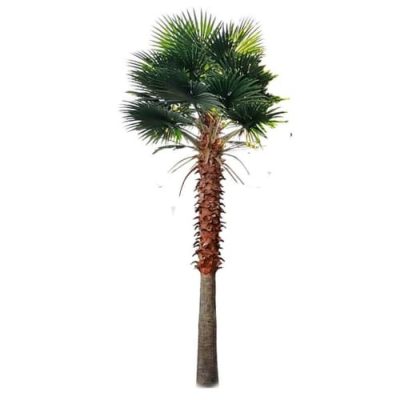 Artificial Fan Palm / Washington Palm Tree