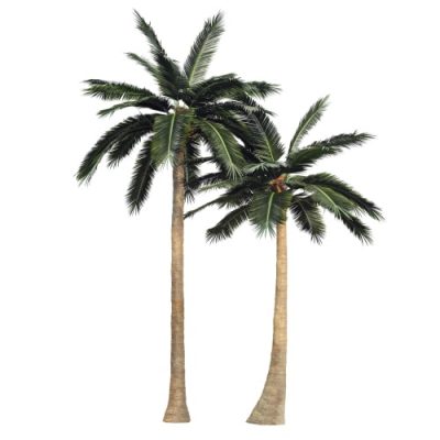 Large artificial coconut trees