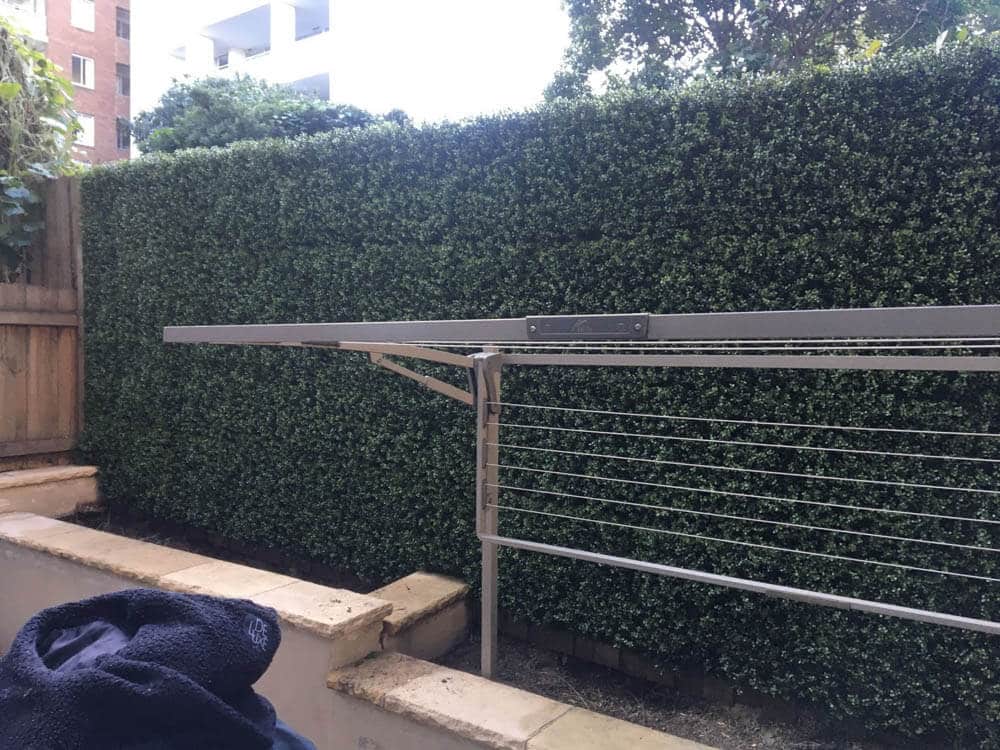 artificial natural buxus hedges