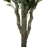 Trunk - Potted Faux Olive Tree 170cm