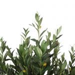 Close up foliage artificial olive tree