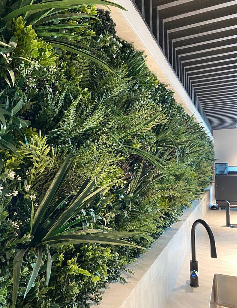 green wall panel installed into a display home