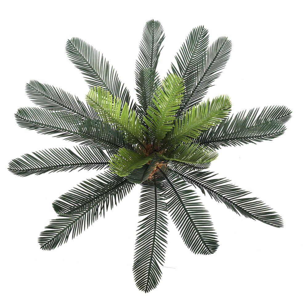artificial cycas plant leaves
