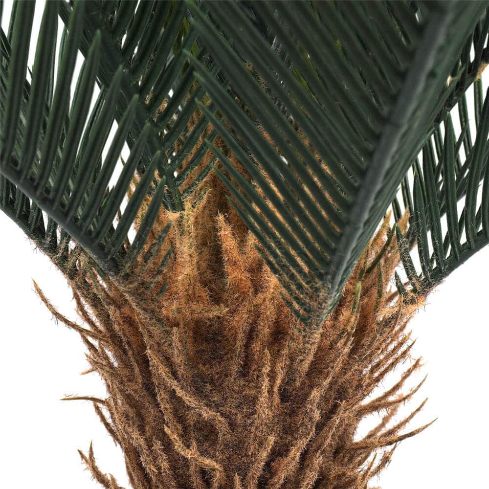 close up of the fake cycas plant trunk