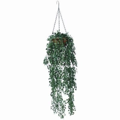 Hanging Baskets & Vines