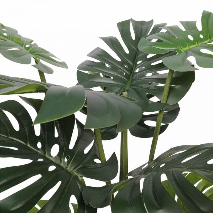 artificial philodendron plant leave