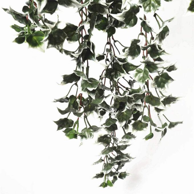 artificial hanging ivy bush