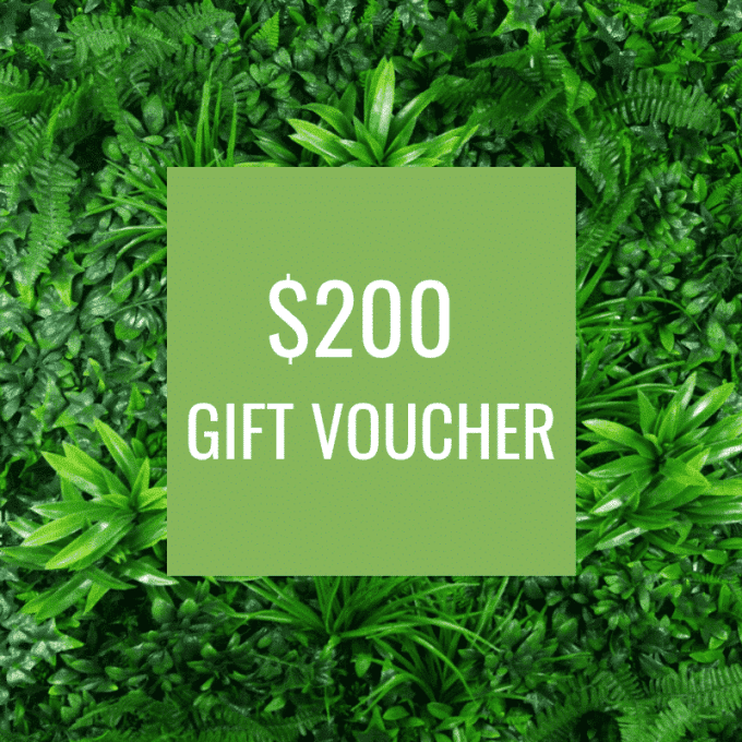 Designer Plants Gift voucher for lifelike greenery and faux plants