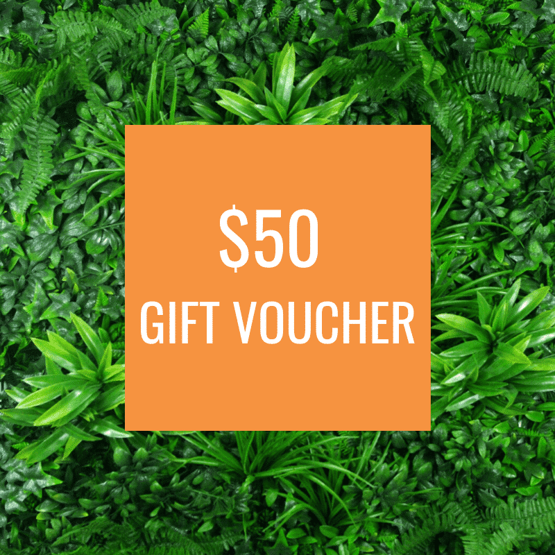 DP Gift Voucher for artificial greenery $50