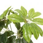 leaves - pot - artificial potted umbrealla tree