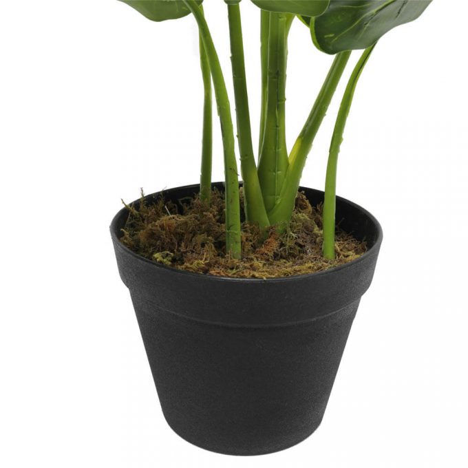 pot - small tambour cabinet fake plant - taro plant
