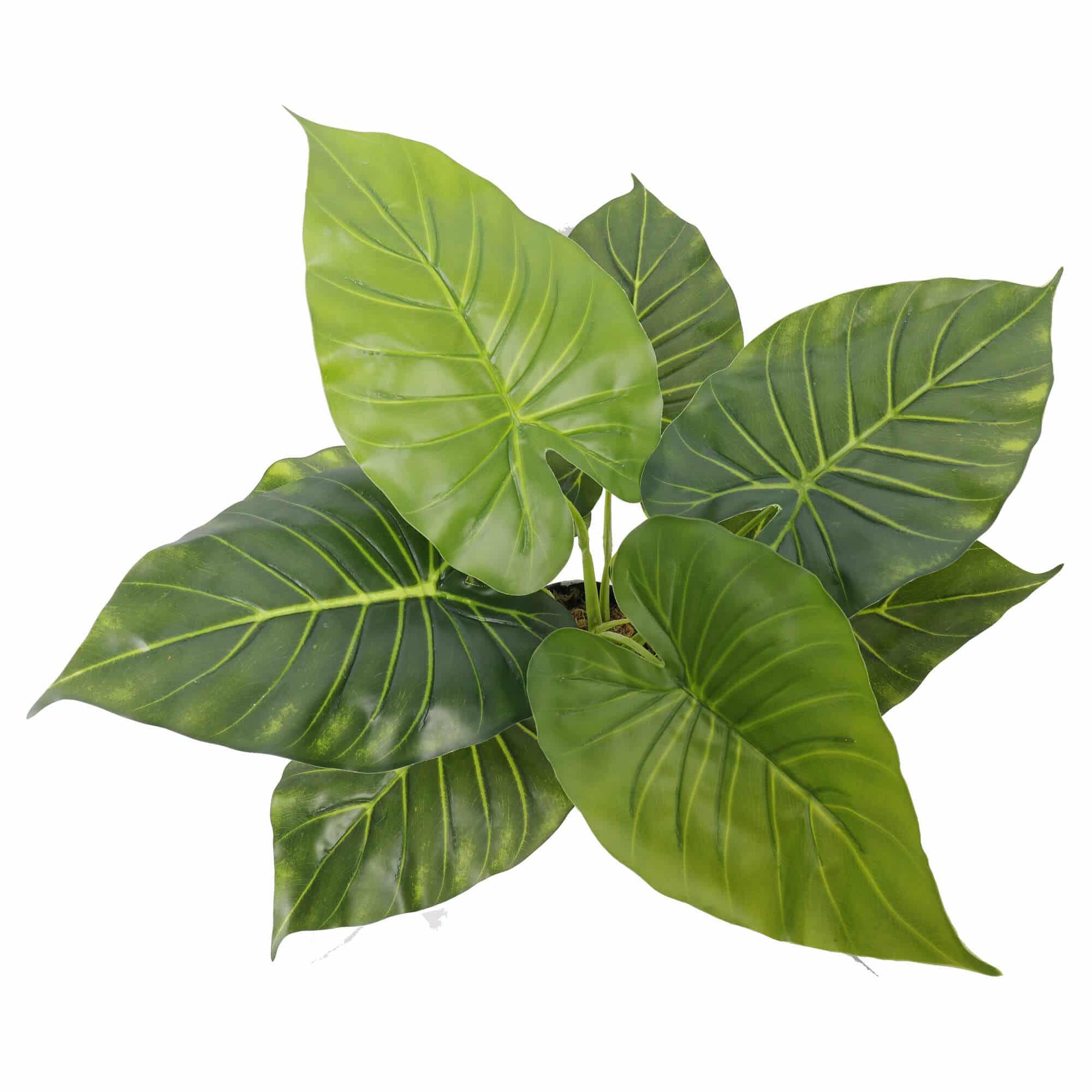leaves - pot - small tambour cabinet fake plant - fake taro plant