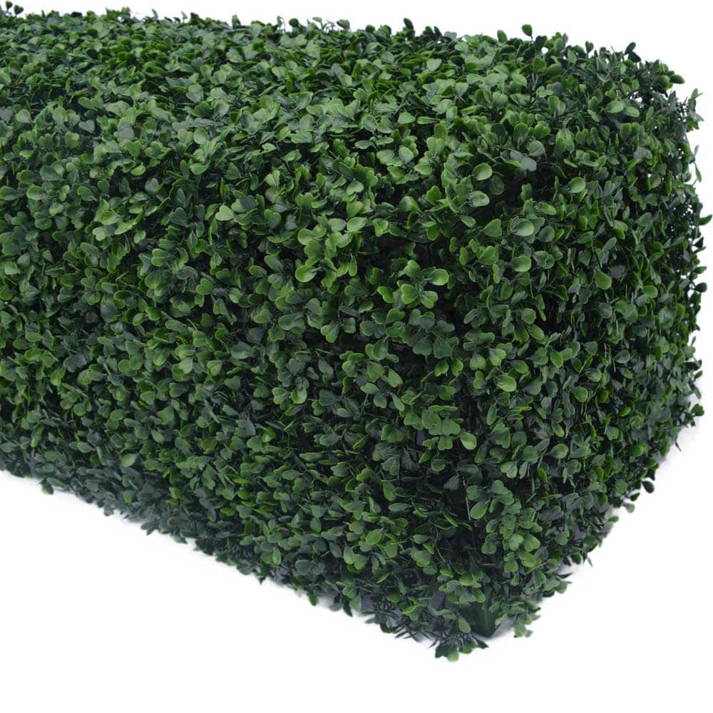 Portable Boxwood Hedge UV 25cm High 100cm Long