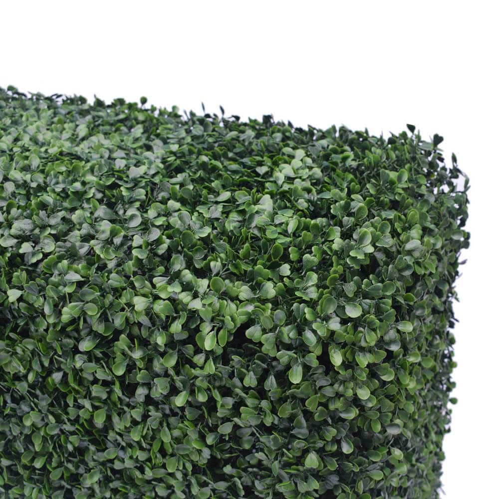 Boxwood Hedge UV Resistant 75x75cm | Designer Plants