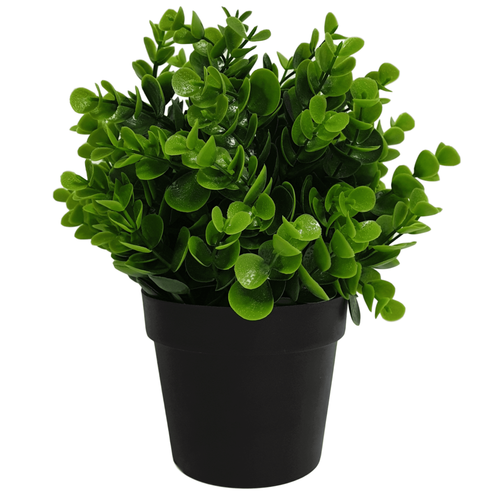 Small Potted Artificial Peperomia Plant UV Resistant 20cm