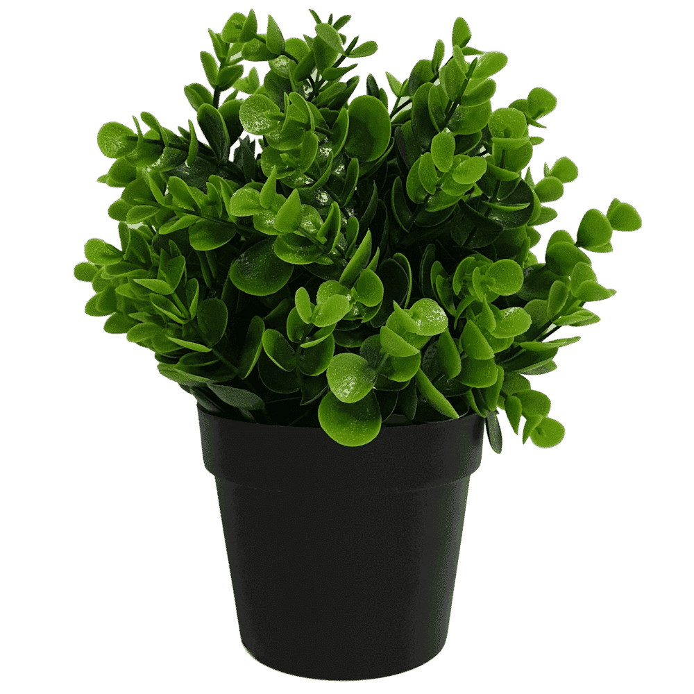 Small Potted Artificial Peperomia Plant UV Resistant 20cm