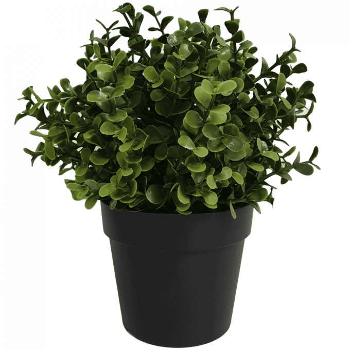 small potted artificial recycled buxus plant