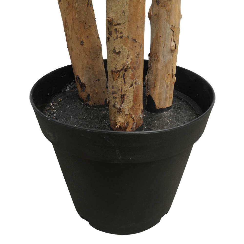 faux potted ficus tree trunks and pot