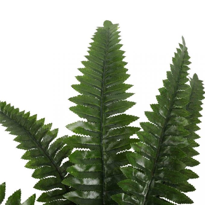 dark green fake fern leaves