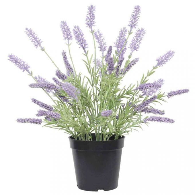artificial lavender plant in pot