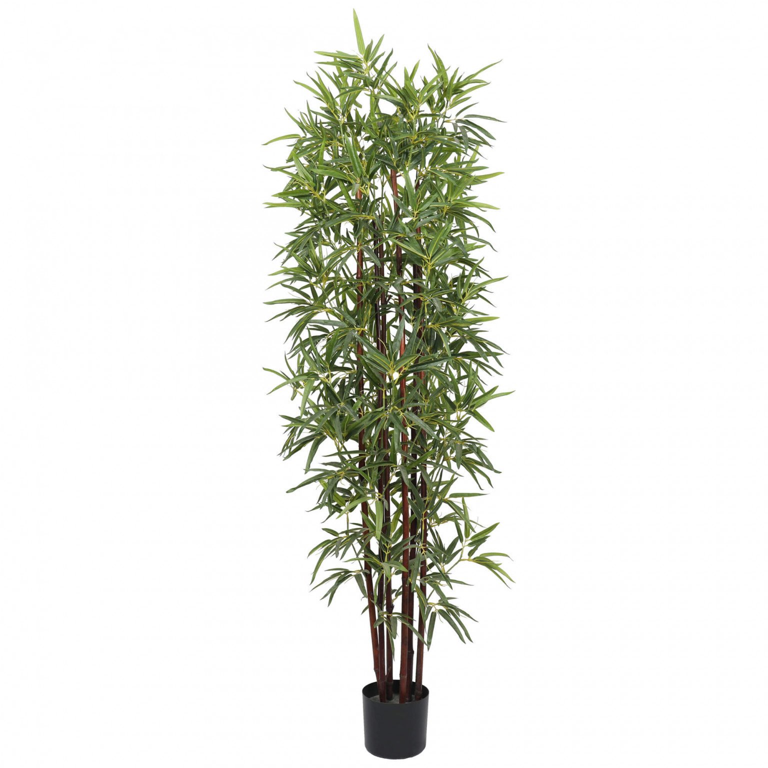 Artificial Bamboo Plant Dark Trunk180cm Designer Plants