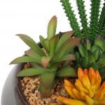 potted artificial succulent plants