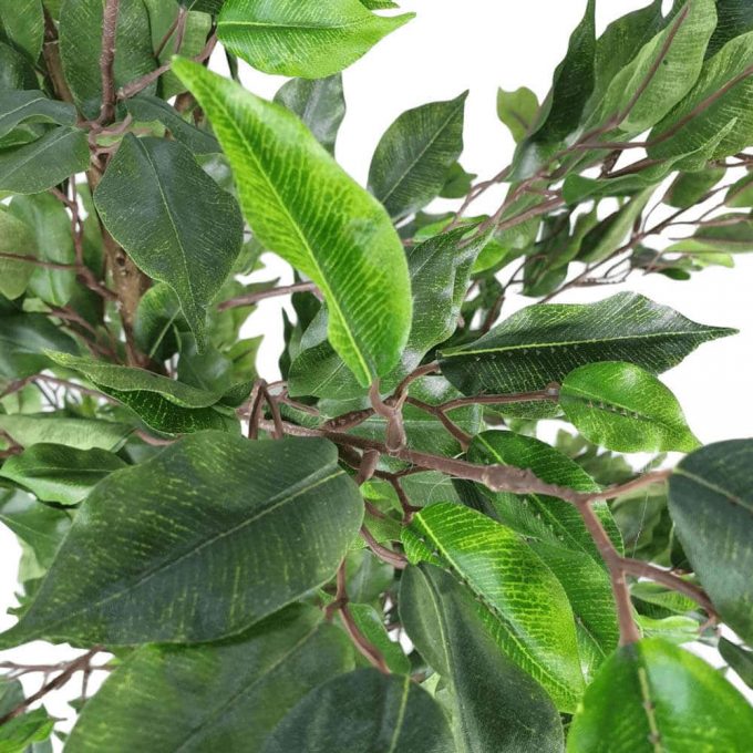 artificial ficus tree leaves