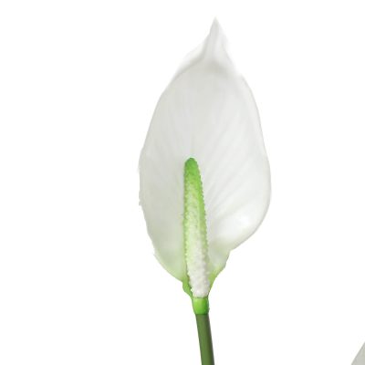 Artificial Flowering White Peace Lily