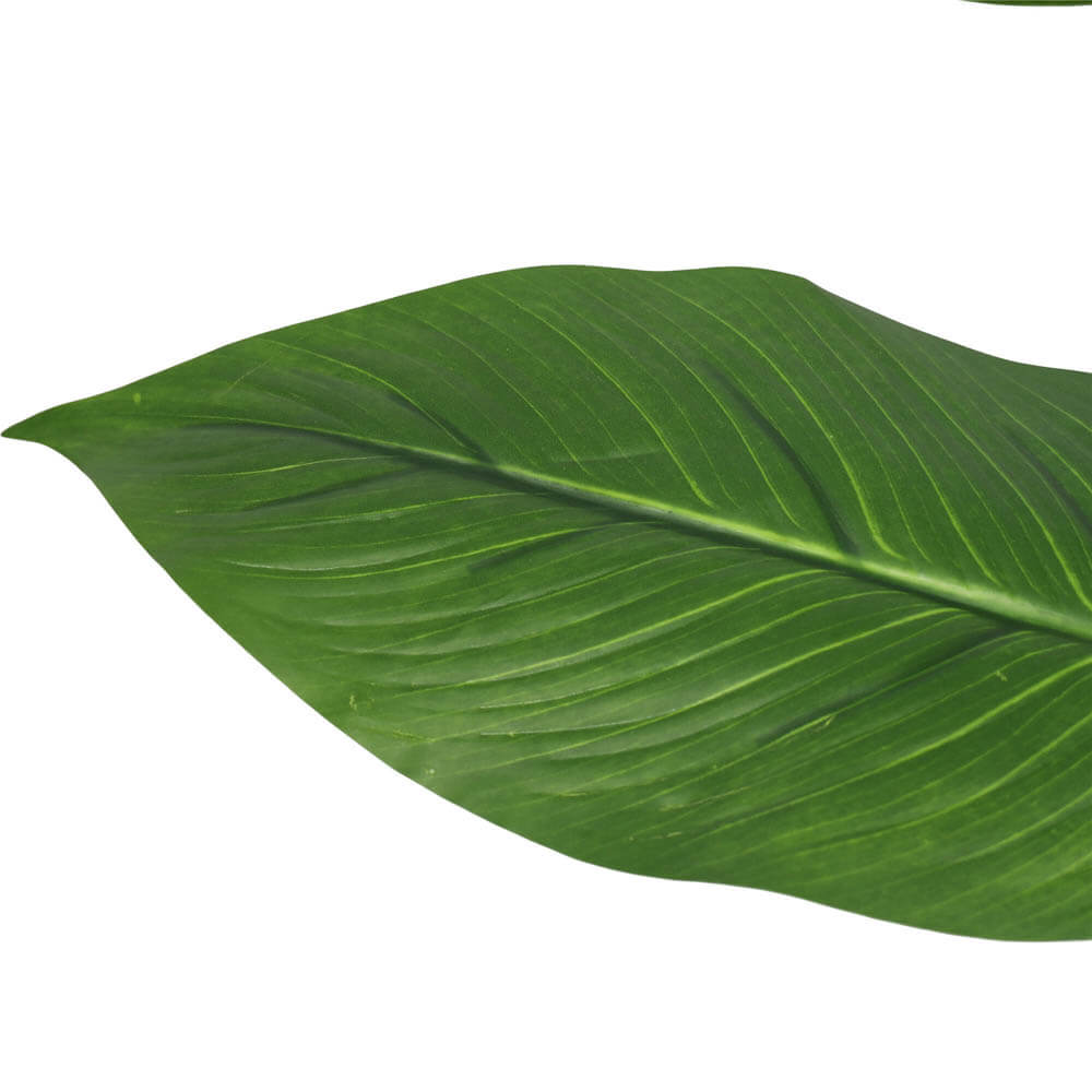 artificial peace lily leaves