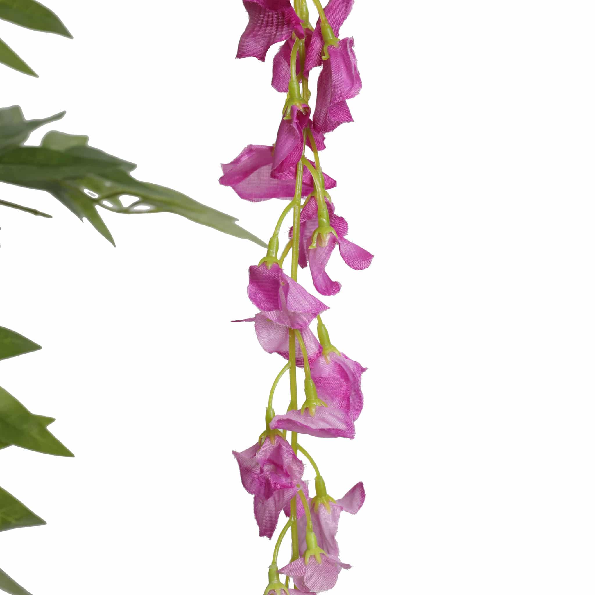 Pink Flowering Artificial Wisteria 180cm - Designer Plants®