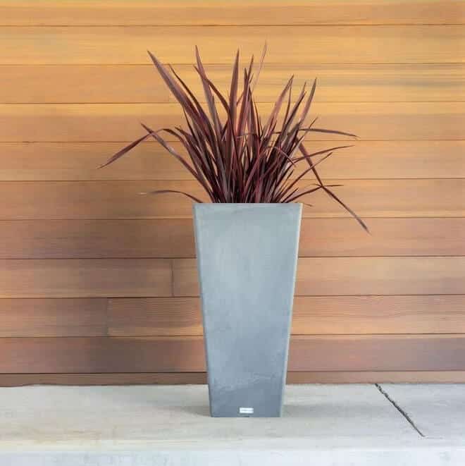 tall square planter for offices