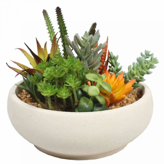 nearly natural evergreen fake succulent bowl