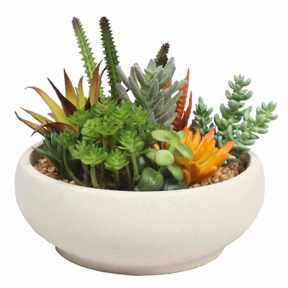 artificial succulent bowl with with stone pot