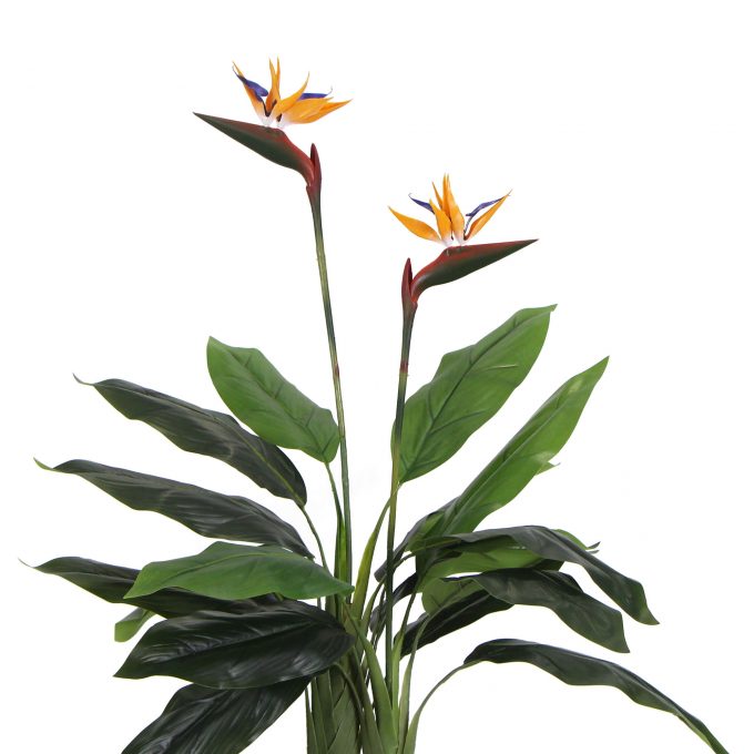 Medium Artificial Bird of Paradise in a Pot With Two Flowers and Foliage