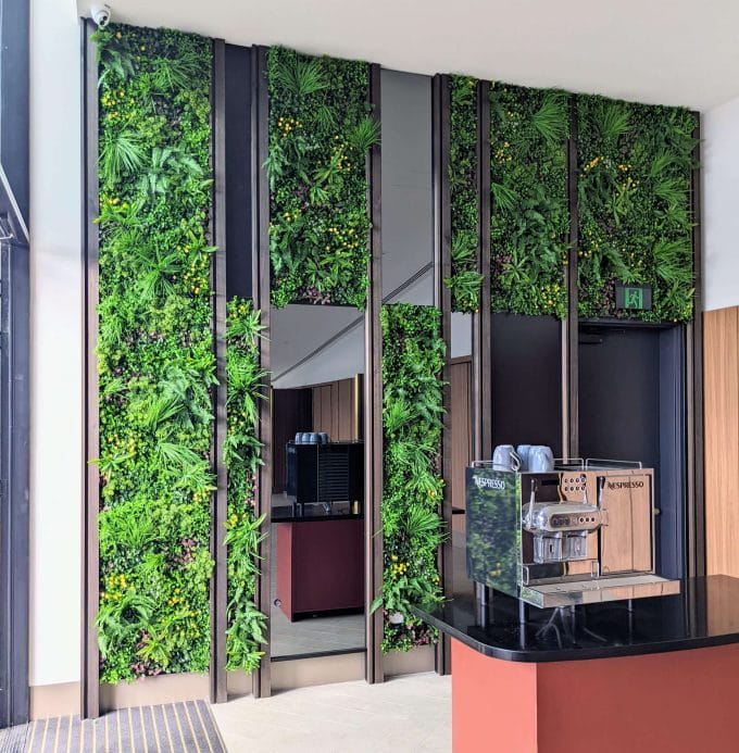 Commercial living wall / green wall