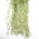 artificial hanging Spanish moss plant