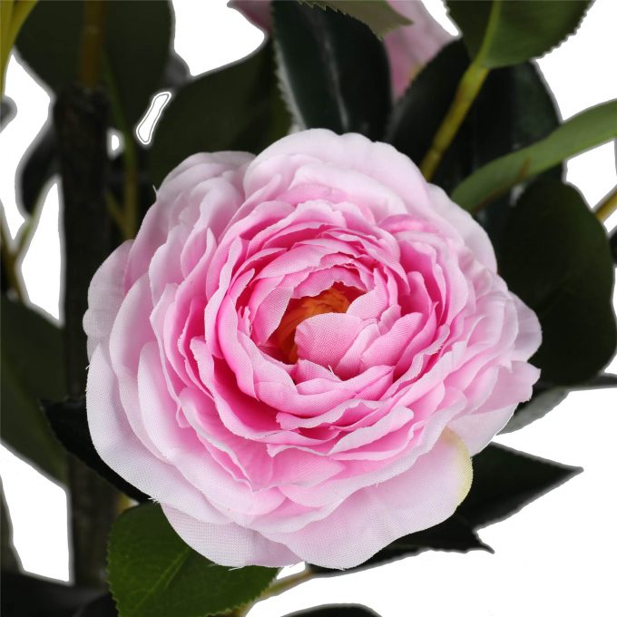 pink flower of a faux camellia tree